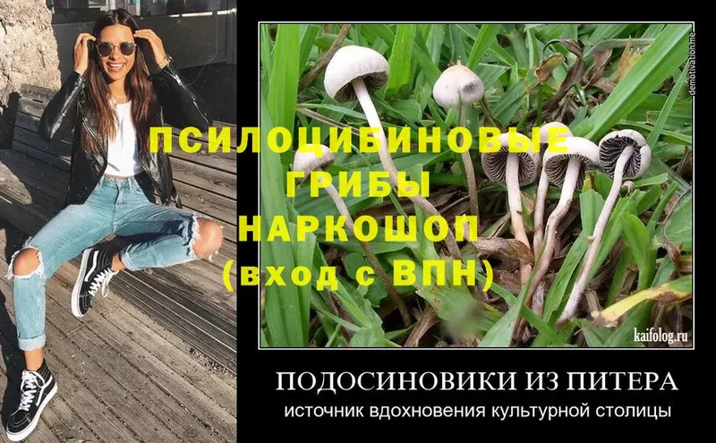 наркотики  Верхняя Тура  Галлюциногенные грибы мухоморы 